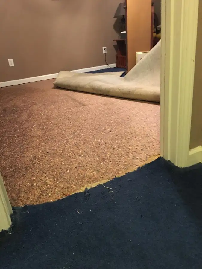 Carpet pad removal revealing water damage during Drying & Dehumidification in Parma